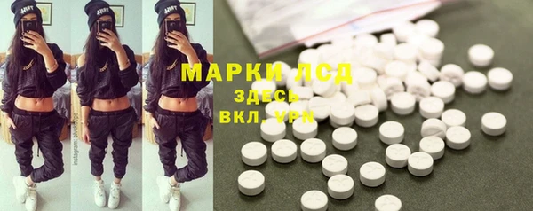 прущие грибы Белокуриха