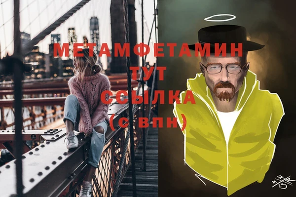прущие грибы Белокуриха
