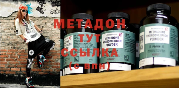 прущие грибы Белокуриха