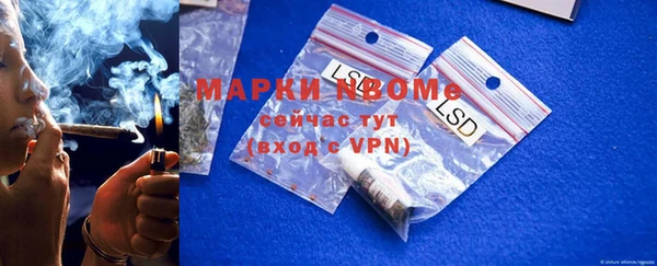 прущие грибы Белокуриха