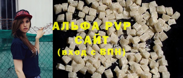 прущие грибы Белокуриха