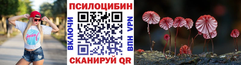 Псилоцибиновые грибы ЛСД  мориарти какой сайт  Цивильск 