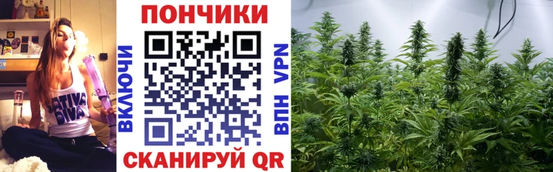 МЕГА как зайти  Цивильск  Марихуана сатива 
